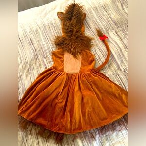 Girls Lion Costume